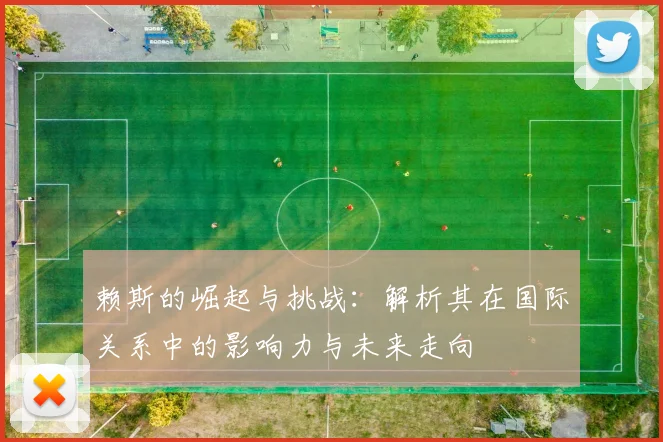 赖斯的崛起与挑战：解析其在国际关系中的影响力与未来走向