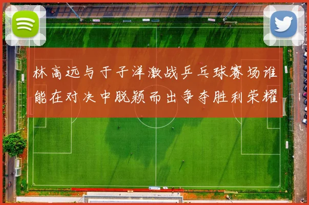 林高远与于子洋激战乒乓球赛场谁能在对决中脱颖而出争夺胜利荣耀